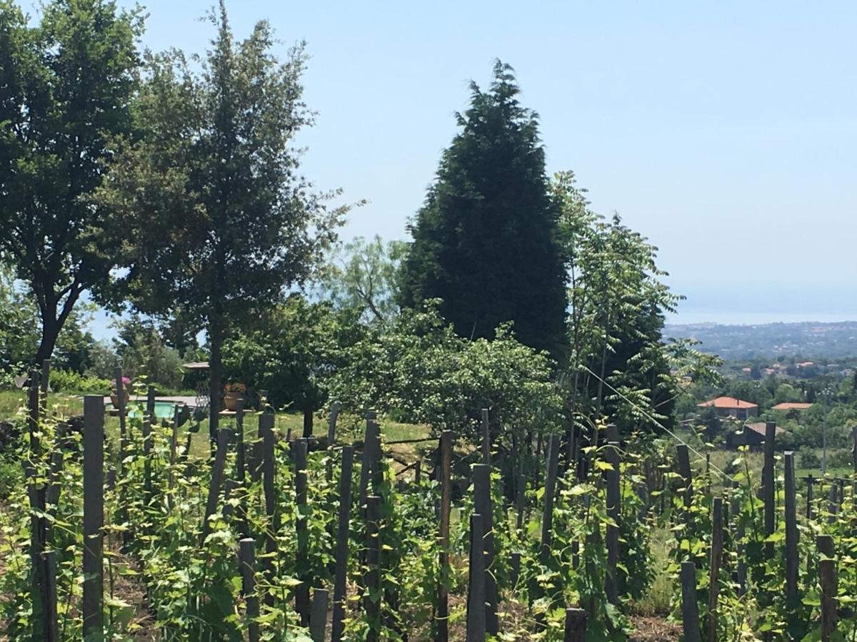 Alberto'S Mt.Etna B&B Zafferana Etnea Zewnętrze zdjęcie
